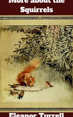 More about the Squirrels