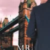 Mr Mayfair