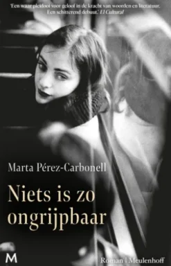 Niets is zo ongrijpbaar