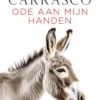Ode aan mijn handen