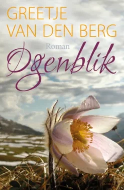 Ogenblik