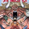 One Piece, Vol. 48