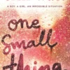 One Small Thing