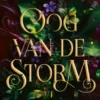 Oog van de storm