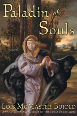 Paladin of Souls