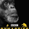 Penguin Readers Level 3: Dynasties: Chimpanzees (ELT Graded Reader)