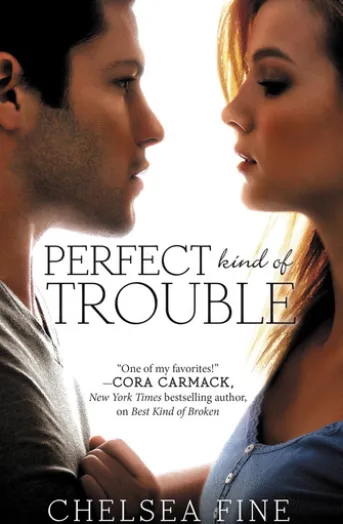 Perfect Kind of Trouble