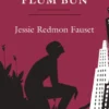 Plum Bun: A Novel Without a Moral