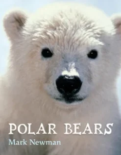 Polar Bears