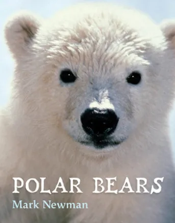Polar Bears