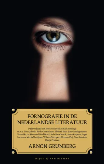 Pornografie in de Nederlandse literatuur