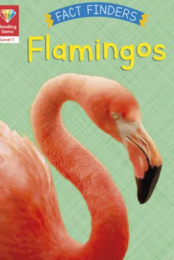 Reading Gems Fact Finders: Flamingos (Level 1)