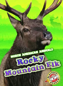 Rocky Mountain Elk