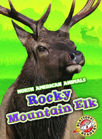 Rocky Mountain Elk