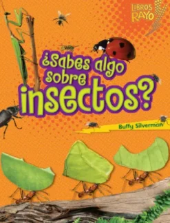 ¿Sabes algo sobre insectos? (Do You Know about Insects?)
