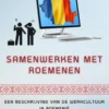 Samenwerken met Roemenen