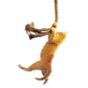 Save the Cat!