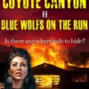Secrets of Coyote Canyon II - Blue Wolfs on the Run