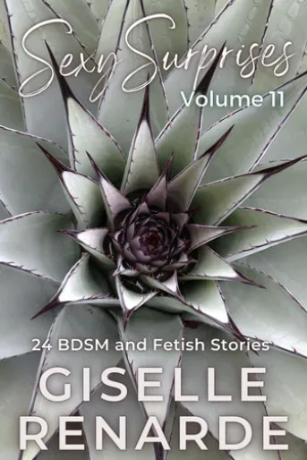 Sexy Surprises Volume 11: 24 BDSM and Fetish Stories