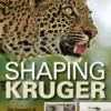 Shaping Kruger
