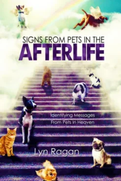 Signs From Pets In The Afterlife