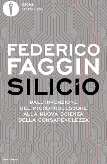 Silicio