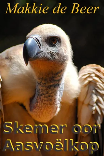 Skemer oor Aasvoëlkop