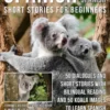 Spanish Short Stories For Beginners (Easy Spanish)