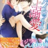俺様パイロットの極上溺愛【SS付】