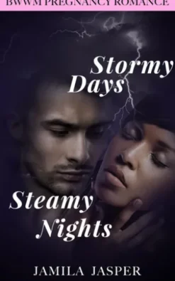 Stormy Days, Steamy Nights: BWWM Romance Novel