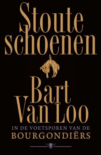 Stoute schoenen