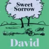 Sweet Sorrow