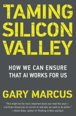 Taming Silicon Valley