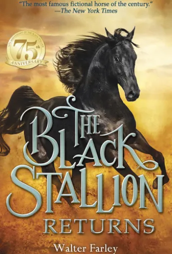 The Black Stallion Returns