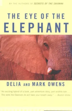 The Eye of the Elephant