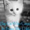 The Cat Who Came In From The Cold