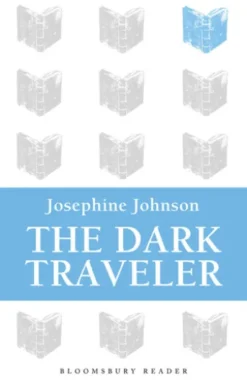 The Dark Traveler