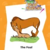 The Foal