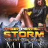 Their Perfect Storm