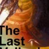 The Last Valkyrie