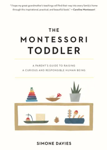 The Montessori Toddler