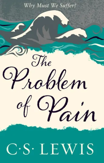 The Problem of Pain