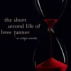 The Short Second Life Of Bree Tanner