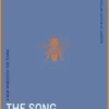 The Song of Significance
