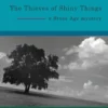 The Thieves of Shiny Things