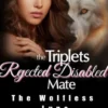The Triplets' Rejected Disabled Mate