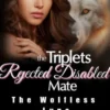 The Triplets' Rejected Disabled Mate