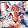 The Year of the Cat: A Cat of Artistic Sensibilities