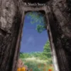 Through the Narrow Gate