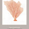 Thuishaven